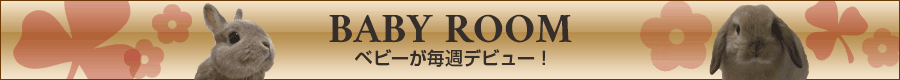 BABY ROOM ベビーが毎週デビュー！