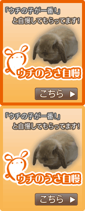 ウチの子が一番！と自慢してもらってます！「ウチのうさ自慢」