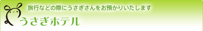 うさぎホテル