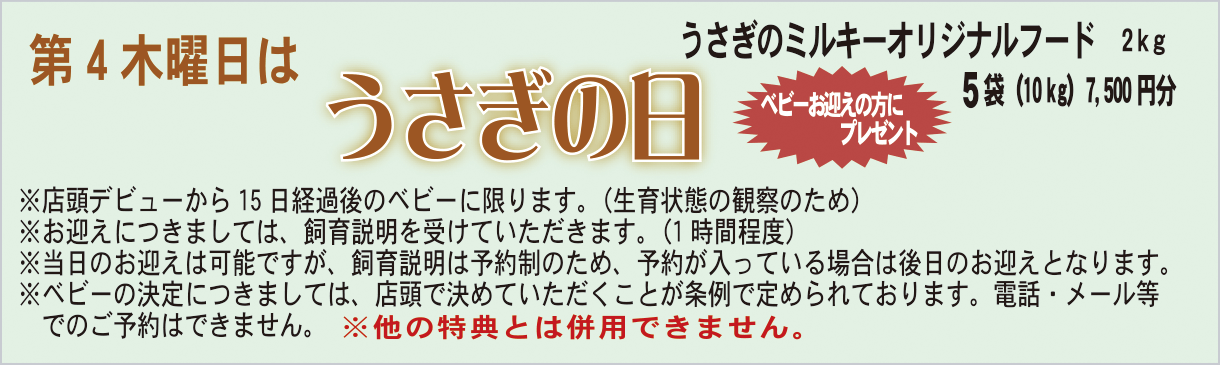 うさぎの日
