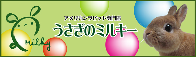 うさぎ専門店 うさぎのミルキー