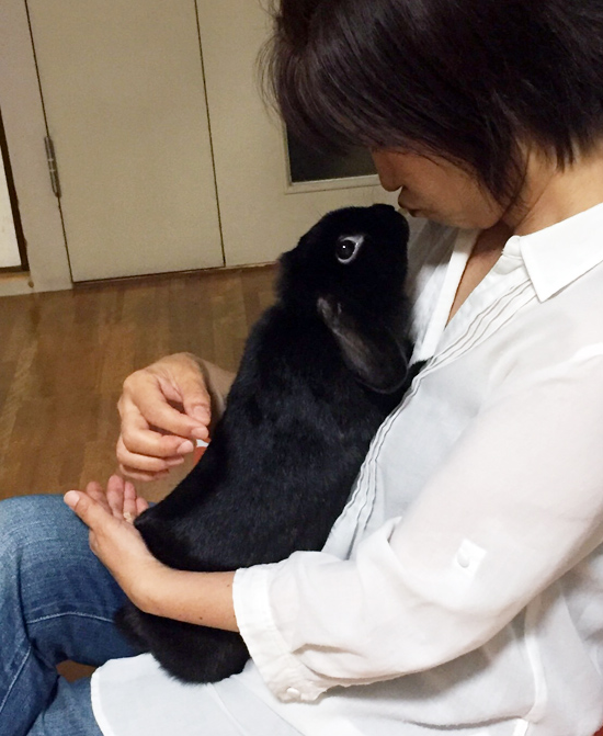 うさぎ専門店 うさぎのミルキー│大阪 うさぎ専門店 うさぎのミルキー│大阪