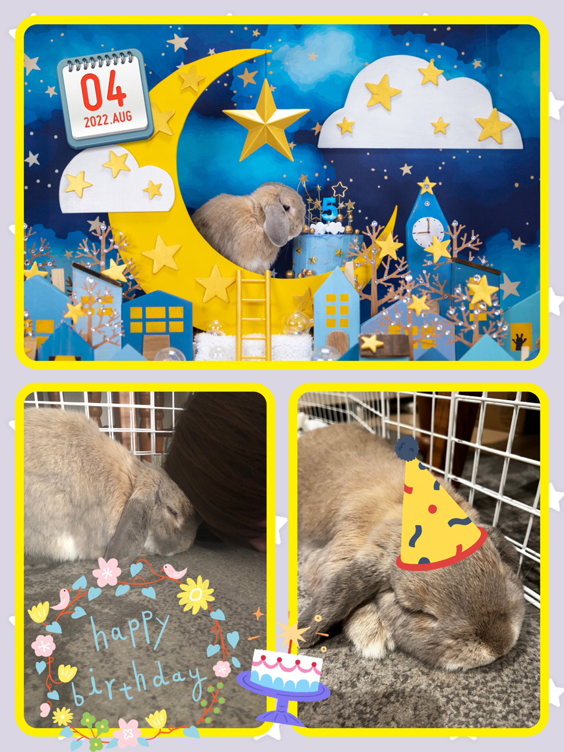 うさぎ専門店 うさぎのミルキー│大阪 うさぎ専門店 うさぎのミルキー│大阪